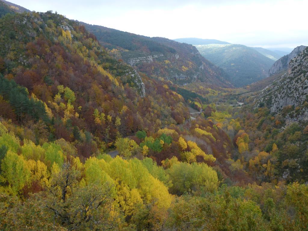 El Prau De Vidal I Apartment *